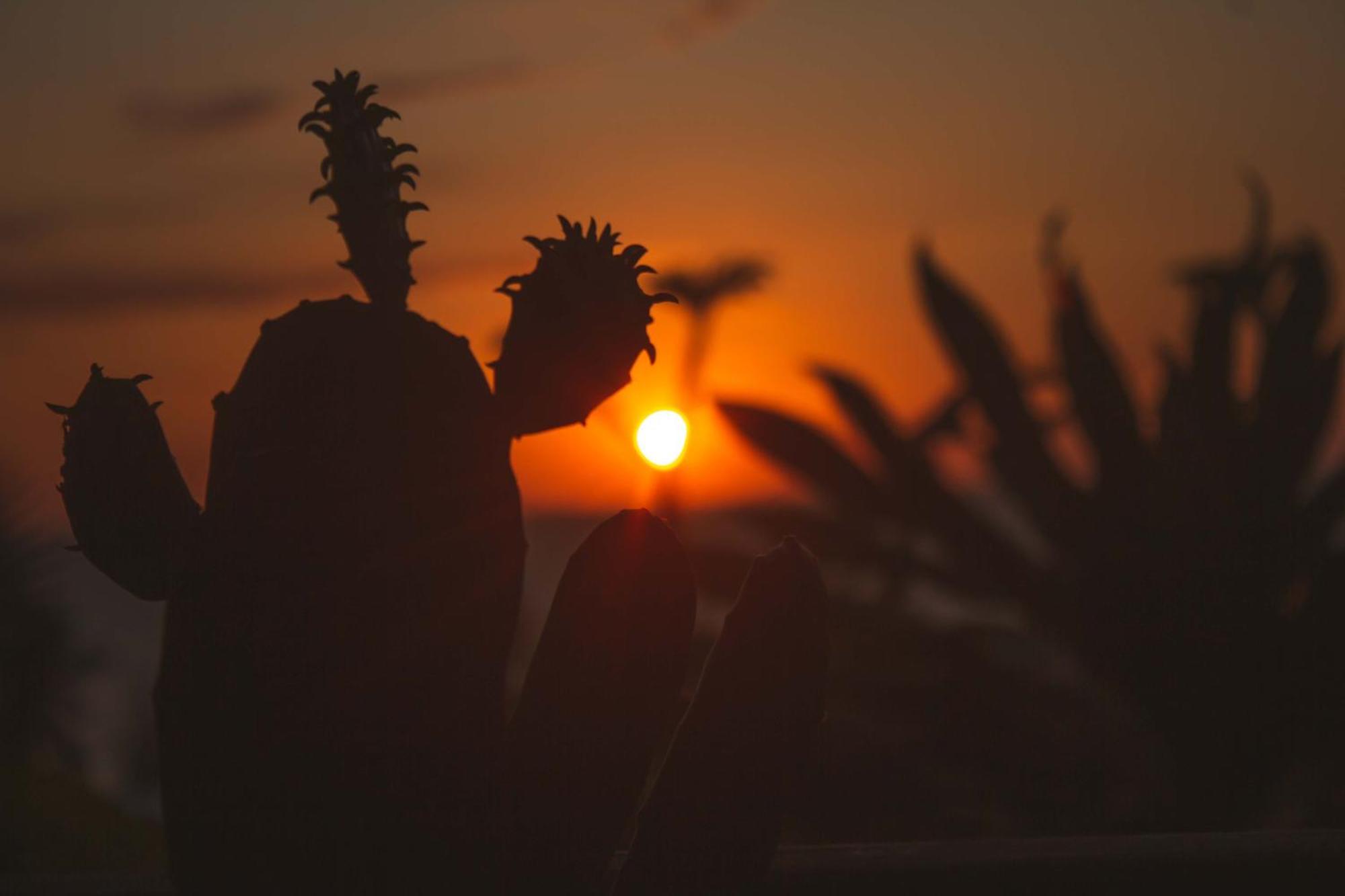Coucher De Soleil Ambatoloaka  Luaran gambar